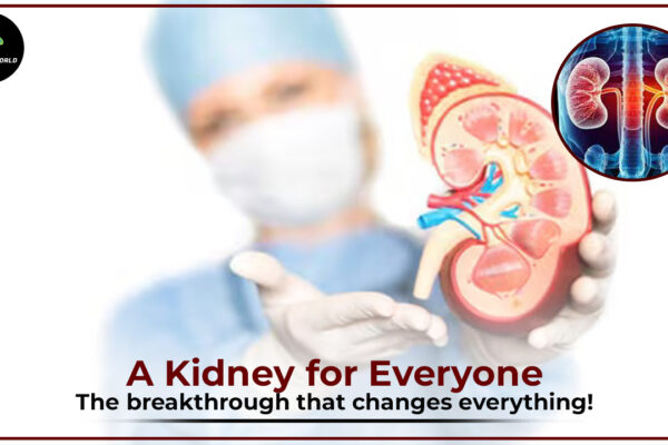 Scientists announce breakthrough in creating a universal donor kidney that could eliminate organ transplant barriers.